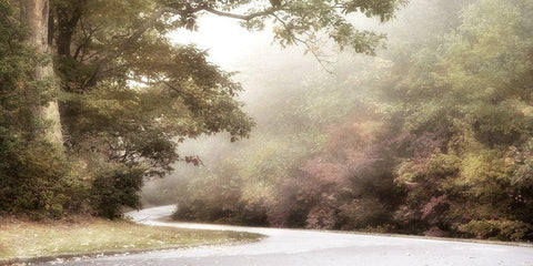 Blue Ridge Parkway White Modern Wood Framed Art Print with Double Matting by Poinski, Dianne