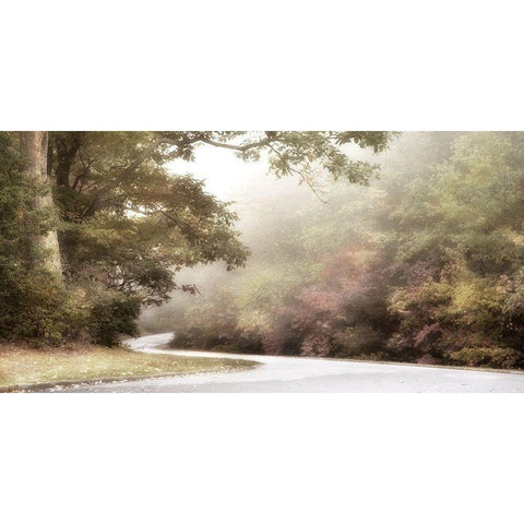 Blue Ridge Parkway Gold Ornate Wood Framed Art Print with Double Matting by Poinski, Dianne