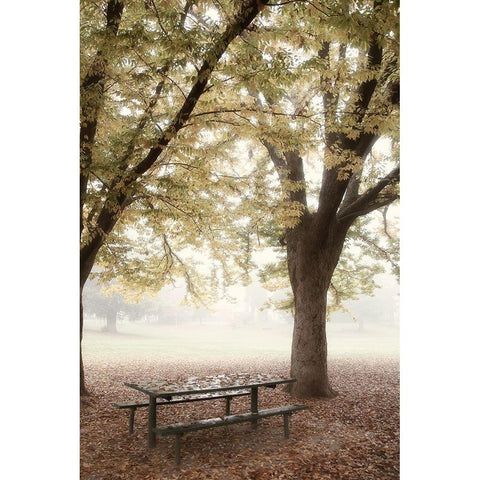 Park 4 Black Modern Wood Framed Art Print with Double Matting by Poinski, Dianne
