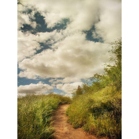 River Park Black Modern Wood Framed Art Print by Poinski, Dianne