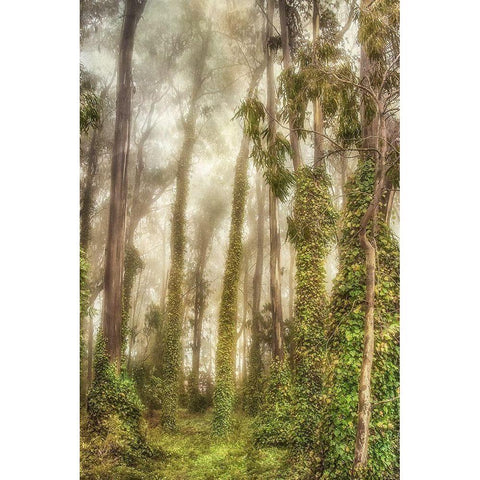 Presidio I Black Modern Wood Framed Art Print by Poinski, Dianne