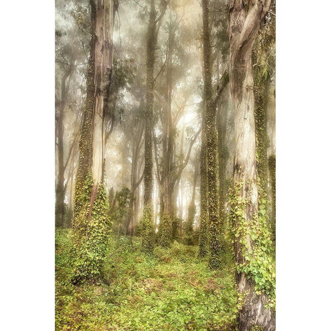 Presidio II Black Modern Wood Framed Art Print by Poinski, Dianne