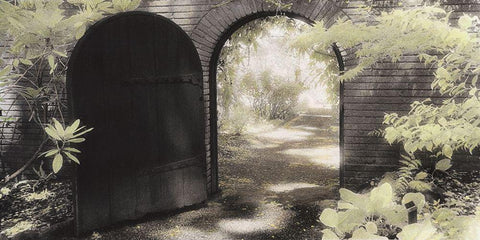 Garden Gate White Modern Wood Framed Art Print with Double Matting by Poinski, Dianne