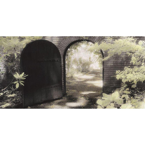 Garden Gate White Modern Wood Framed Art Print by Poinski, Dianne