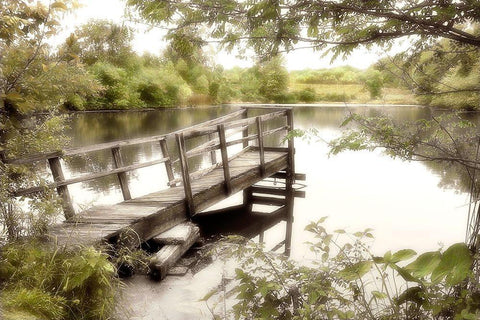 Pond Reflections Black Ornate Wood Framed Art Print with Double Matting by Poinski, Dianne