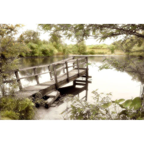 Pond Reflections Black Modern Wood Framed Art Print with Double Matting by Poinski, Dianne