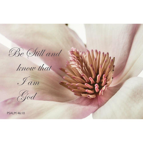 Be Still Magnolia White Modern Wood Framed Art Print by Poinski, Dianne