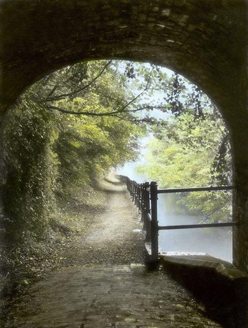 Shrewley Tunnel Black Ornate Wood Framed Art Print with Double Matting by Poinski, Dianne