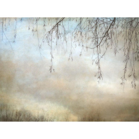 Winter Dusk Gold Ornate Wood Framed Art Print with Double Matting by Poinski, Dianne