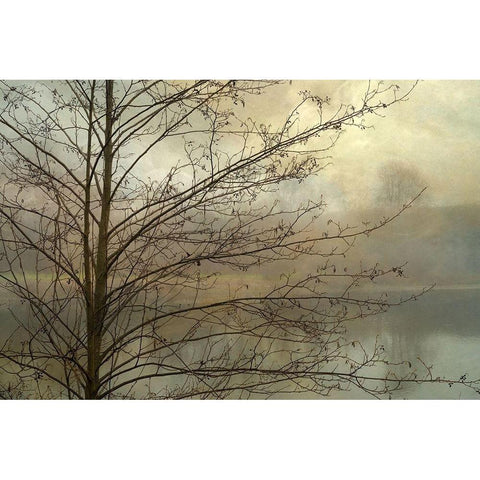 Branches Black Modern Wood Framed Art Print with Double Matting by Poinski, Dianne