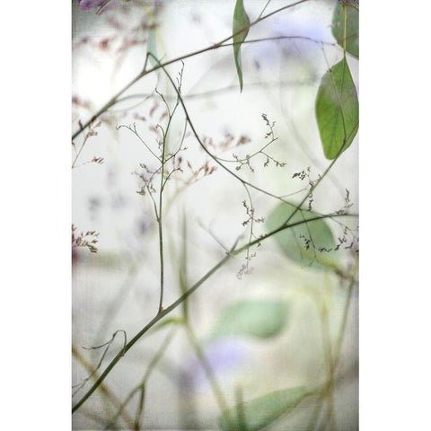 Soft Leaves I White Modern Wood Framed Art Print by Poinski, Dianne