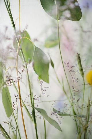 Soft Leaves 2 Black Ornate Wood Framed Art Print with Double Matting by Poinski, Dianne