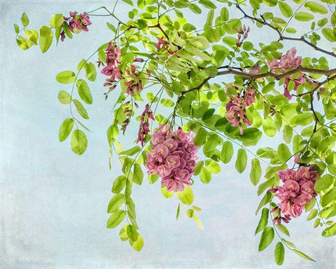 Looking up Black Ornate Wood Framed Art Print with Double Matting by Poinski, Dianne