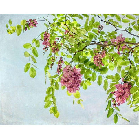 Looking up White Modern Wood Framed Art Print by Poinski, Dianne