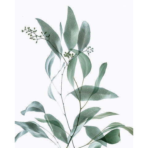 Gentle Botanical 3 White Modern Wood Framed Art Print by Poinski, Dianne