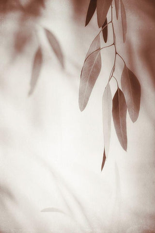 Moody Rhythm 1 White Modern Wood Framed Art Print with Double Matting by Poinski, Dianne