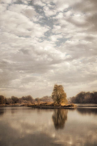 Reflect 1 White Modern Wood Framed Art Print with Double Matting by Poinski, Dianne