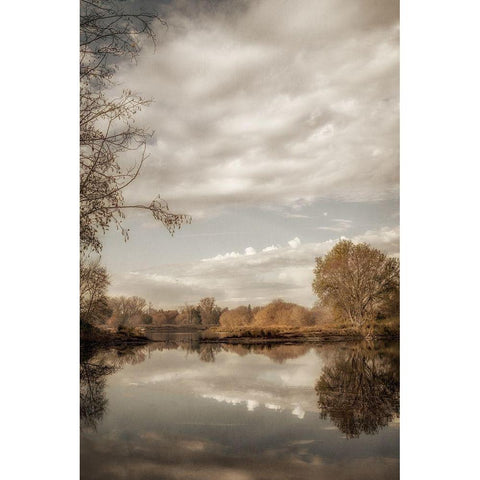 Reflect 2 White Modern Wood Framed Art Print by Poinski, Dianne