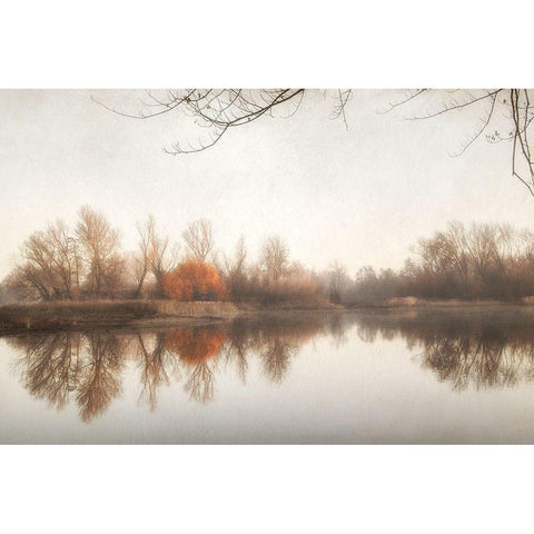 Fire Fall 1 White Modern Wood Framed Art Print by Poinski, Dianne
