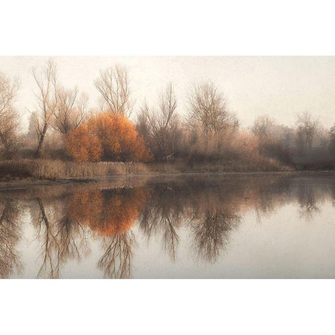Fire Fall 2 Black Modern Wood Framed Art Print with Double Matting by Poinski, Dianne