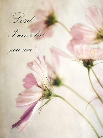 Petite Lord Black Ornate Wood Framed Art Print with Double Matting by Poinski, Dianne