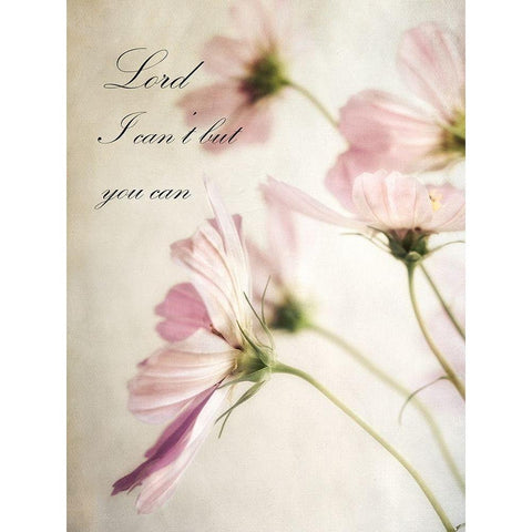 Petite Lord Black Modern Wood Framed Art Print by Poinski, Dianne