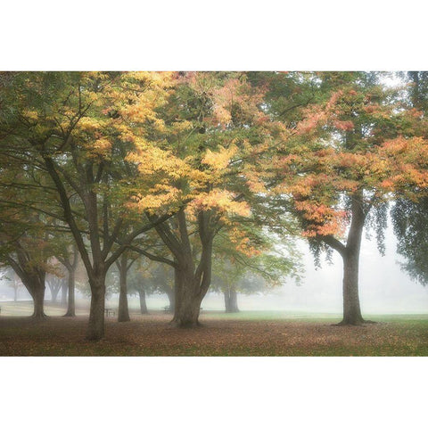 The Meadow 3 Black Modern Wood Framed Art Print by Poinski, Dianne
