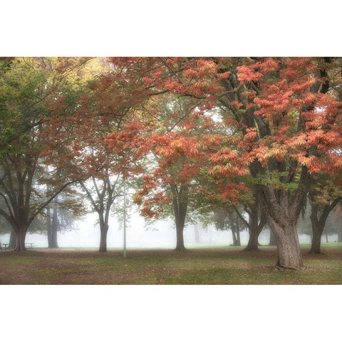 The Meadow 4 Black Modern Wood Framed Art Print with Double Matting by Poinski, Dianne