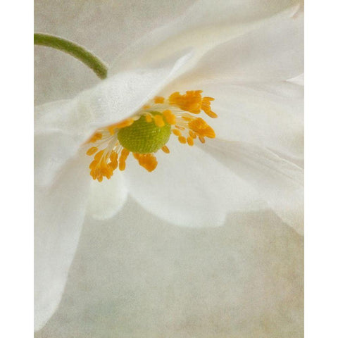 Spring Bonnet I Black Modern Wood Framed Art Print by Poinski, Dianne