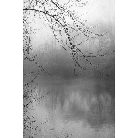 Misty Pond 1 BW Gold Ornate Wood Framed Art Print with Double Matting by Poinski, Dianne