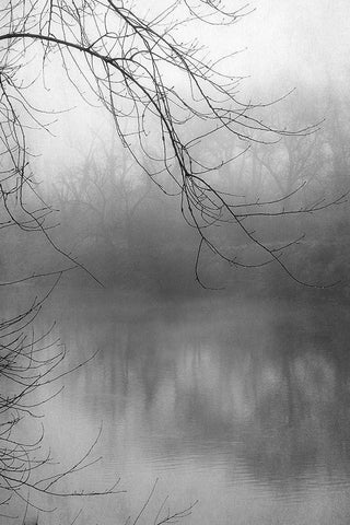 Misty Pond 1 BW White Modern Wood Framed Art Print with Double Matting by Poinski, Dianne