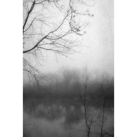 Misty Pond 2 BW Black Modern Wood Framed Art Print with Double Matting by Poinski, Dianne