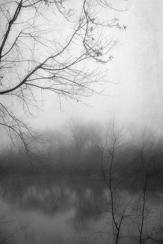 Misty Pond 2 BW White Modern Wood Framed Art Print with Double Matting by Poinski, Dianne