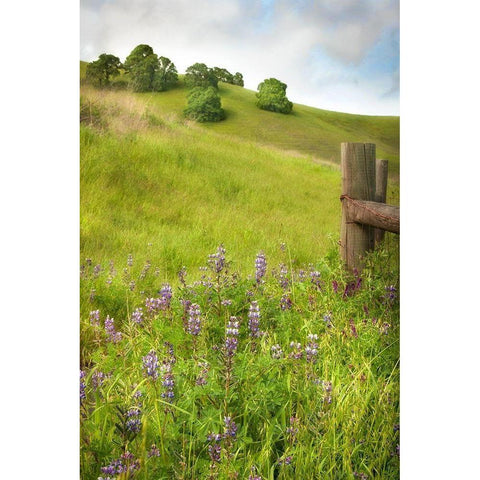 Wildflower Hill 4 Gold Ornate Wood Framed Art Print with Double Matting by Poinski, Dianne