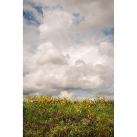 Blue Sky Vista 1 White Modern Wood Framed Art Print by Poinski, Dianne