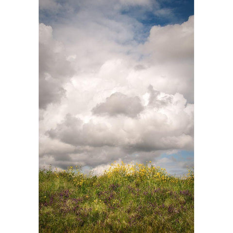 Blue Sky Vista 2 White Modern Wood Framed Art Print by Poinski, Dianne