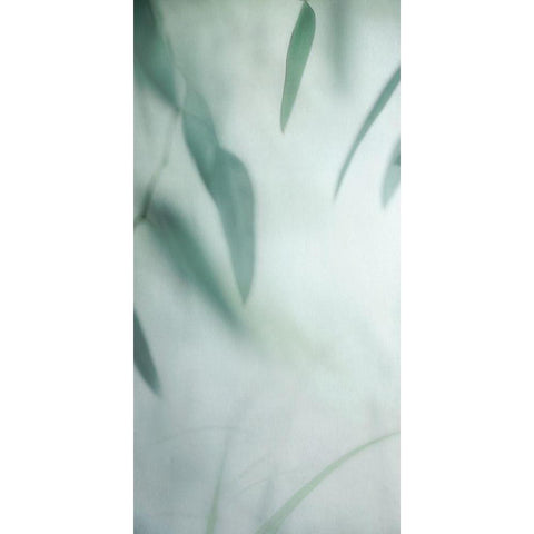 Depth Variation 2 White Modern Wood Framed Art Print by Poinski, Dianne