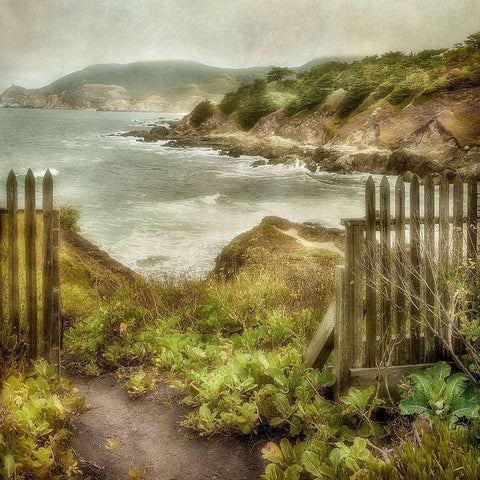 Point Montra I Black Modern Wood Framed Art Print by Poinski, Dianne