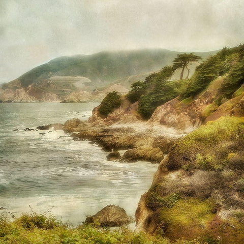 Point Montra II Black Ornate Wood Framed Art Print with Double Matting by Poinski, Dianne