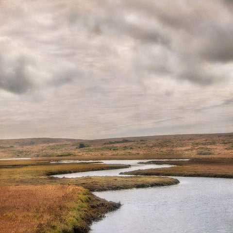 Estuary I Black Modern Wood Framed Art Print with Double Matting by Poinski, Dianne