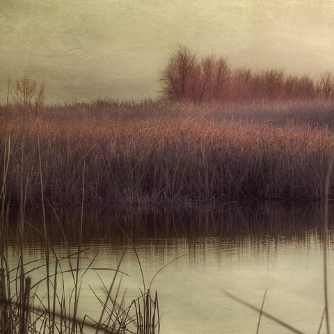 Wetlands Marsh 1 Black Ornate Wood Framed Art Print with Double Matting by Poinski, Dianne
