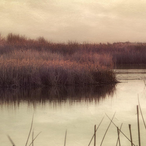 Wetlands Marsh 2 Black Ornate Wood Framed Art Print with Double Matting by Poinski, Dianne