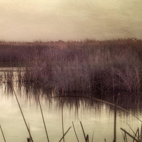 Wetlands Marsh 3 White Modern Wood Framed Art Print by Poinski, Dianne