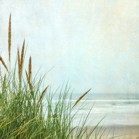 North Coast Dunes 1 White Modern Wood Framed Art Print with Double Matting by Poinski, Dianne
