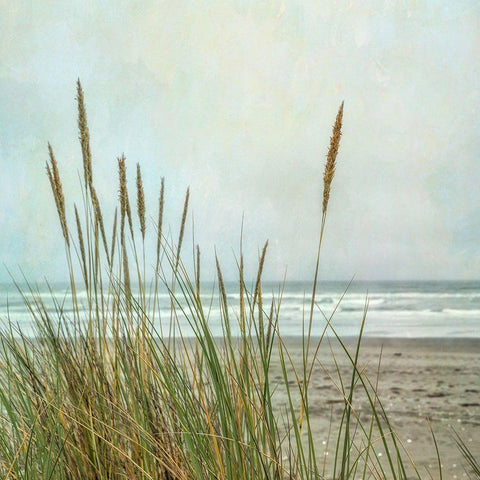 North Coast Dunes 2 White Modern Wood Framed Art Print with Double Matting by Poinski, Dianne