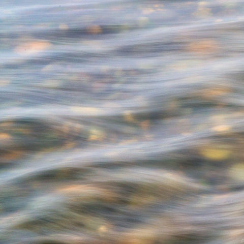 Flow 1 White Modern Wood Framed Art Print with Double Matting by Poinski, Dianne