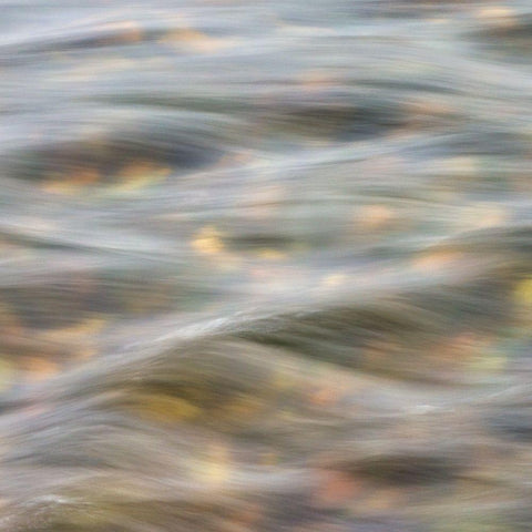 Flow 2 Gold Ornate Wood Framed Art Print with Double Matting by Poinski, Dianne