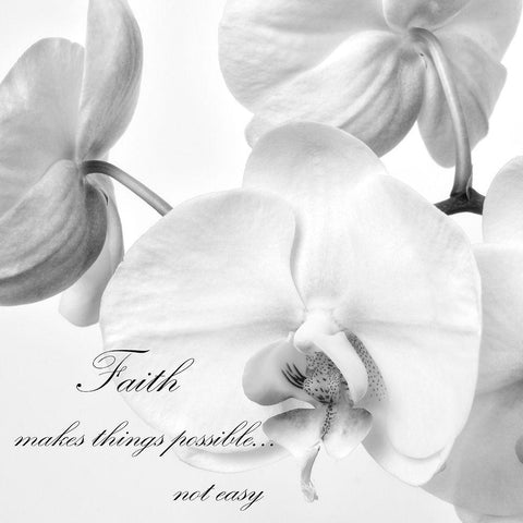 Faith Orchids White Modern Wood Framed Art Print with Double Matting by Poinski, Dianne