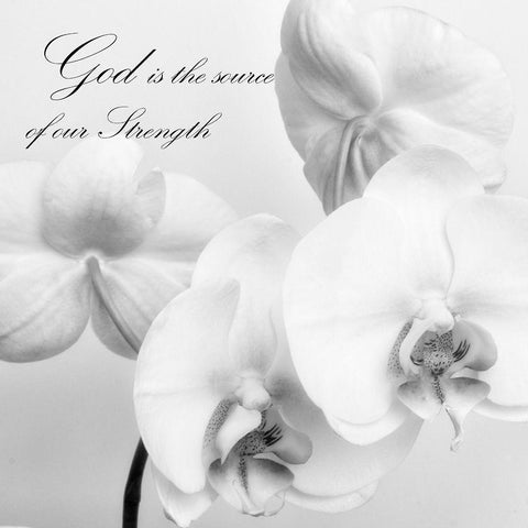 God Orchids White Modern Wood Framed Art Print by Poinski, Dianne