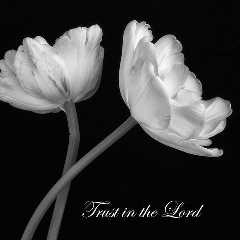 Trust in The Lord Black Ornate Wood Framed Art Print with Double Matting by Poinski, Dianne